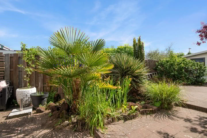 Foto 25 van Archangelstraat 54