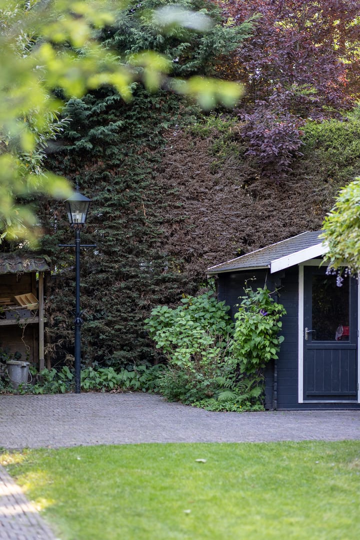 Foto 44 van Hoyledesingel 41