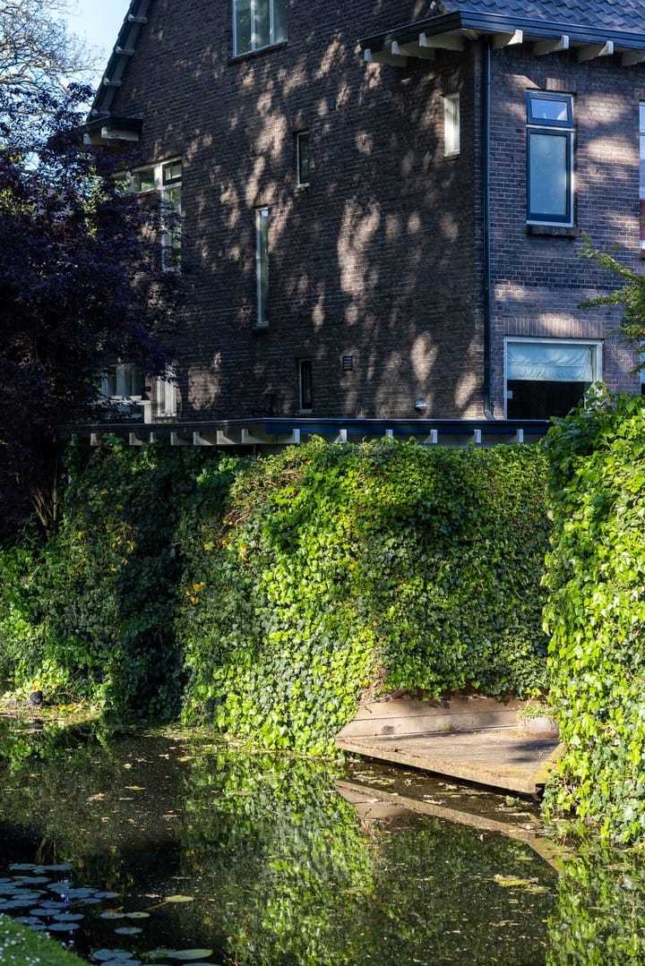 Foto 48 van Hoyledesingel 41