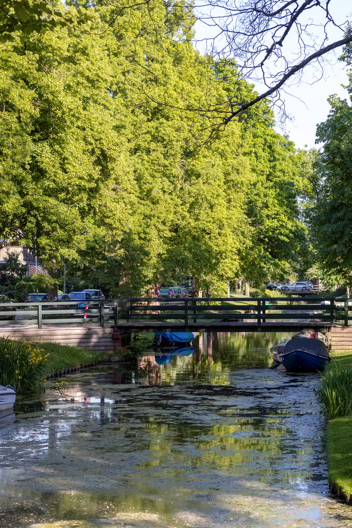 Foto 57 van Hoyledesingel 41