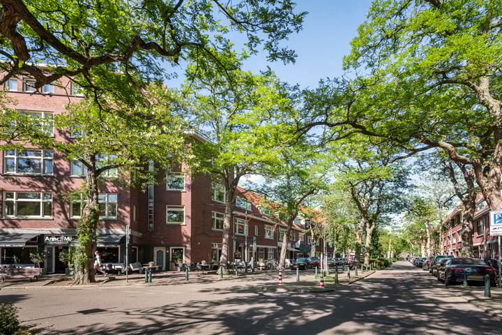 Foto 38 van Breitnerlaan 6