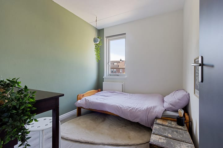 Foto 32 van Rattelwacht 12