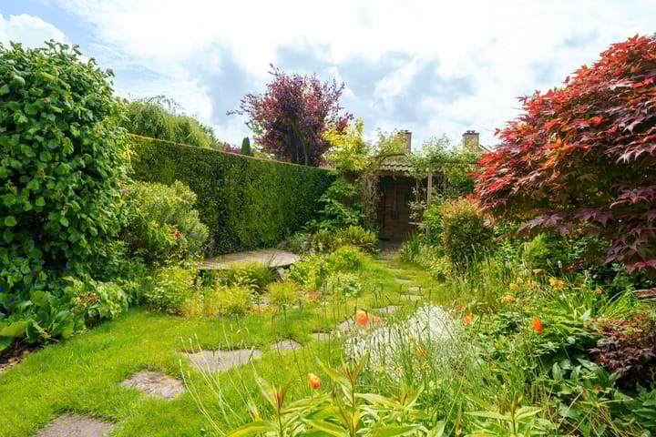 Foto 22 van Klavergriend 99