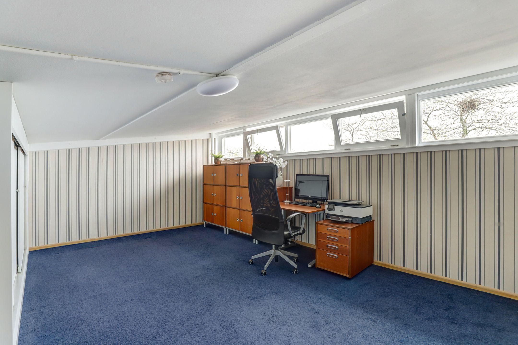 Photo 21 of Schouw 7