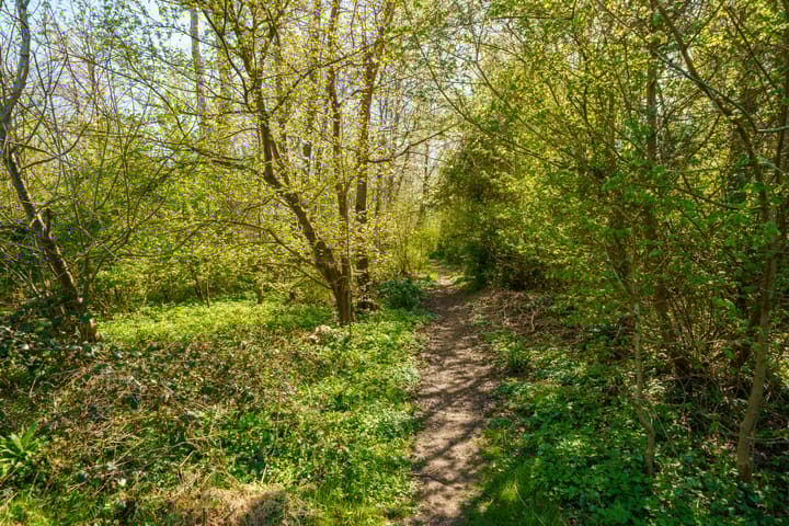 Foto 36 van Klavergriend 99