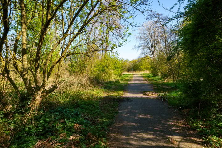 Foto 38 van Klavergriend 99