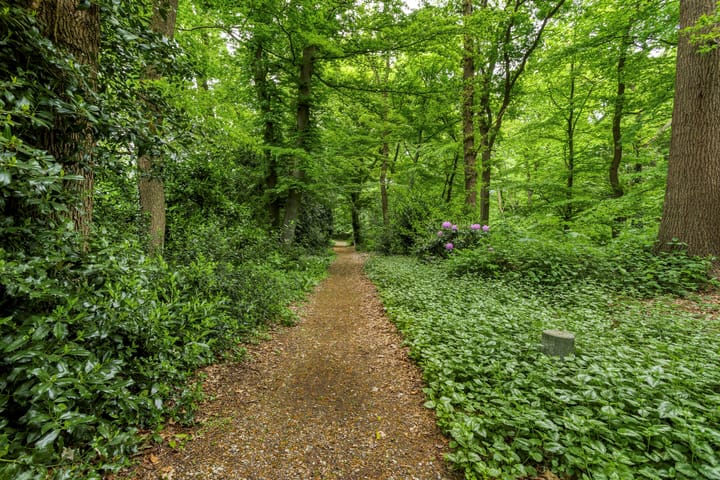 Foto 8 van Villandry 44