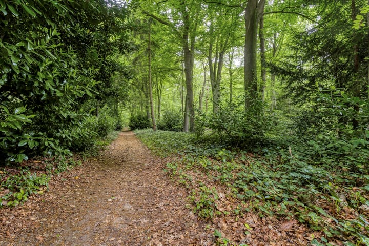 Foto 10 van Villandry 44