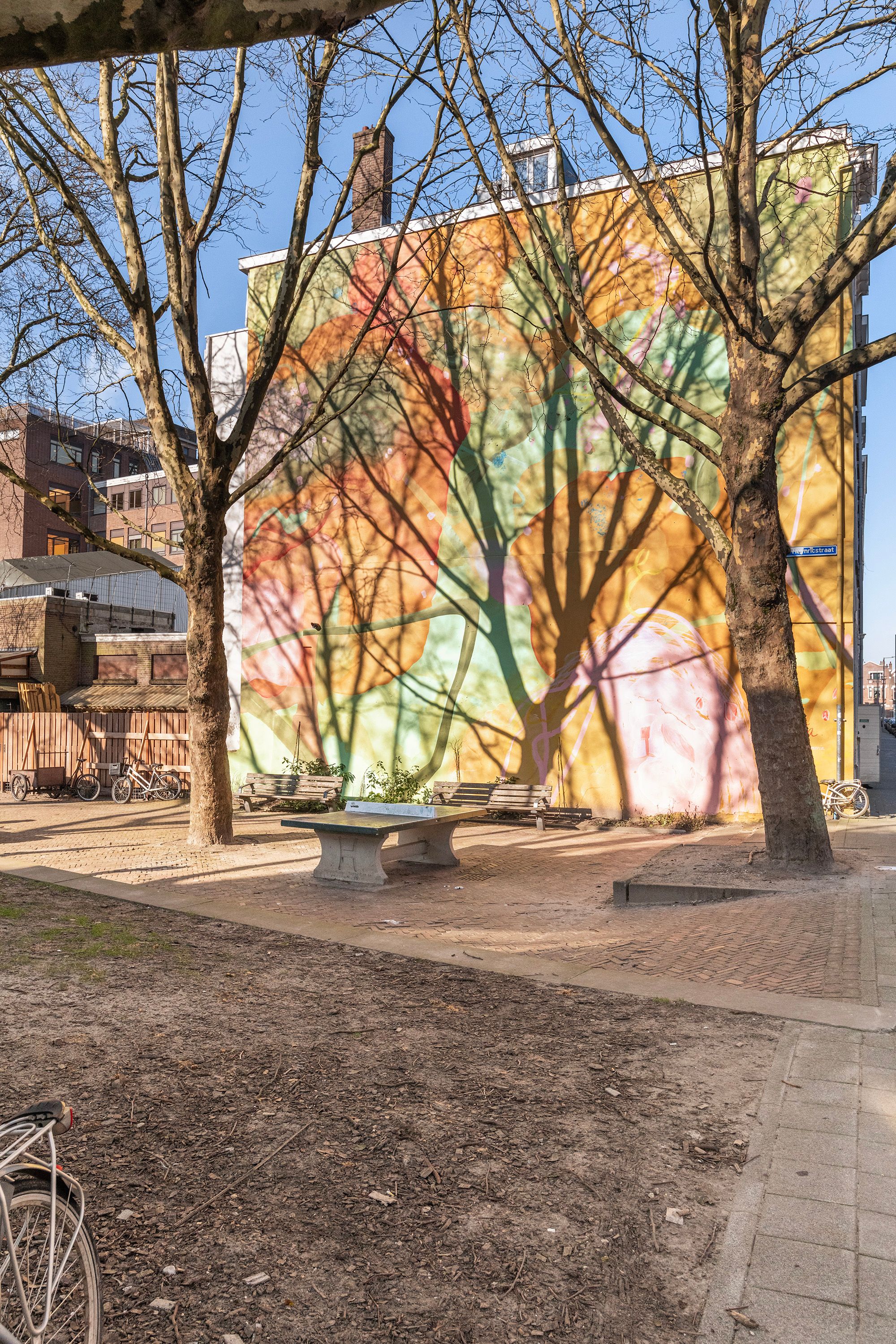 Foto 33 van Schout Heynricstraat 60