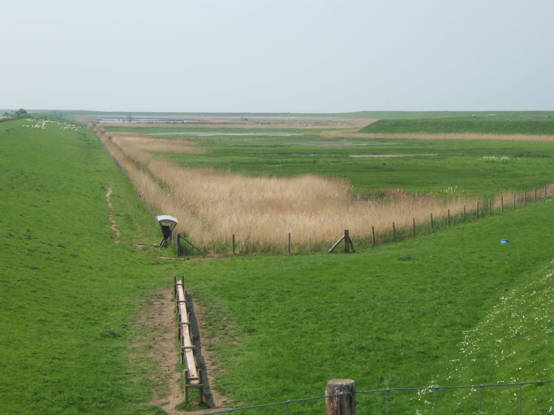 Foto 26 van Irenestraat 42