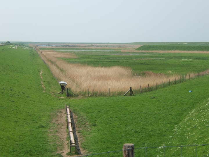 Photo 26 of Irenestraat 42