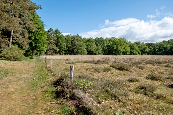 Photo 47 of Wijsterseweg 18-18