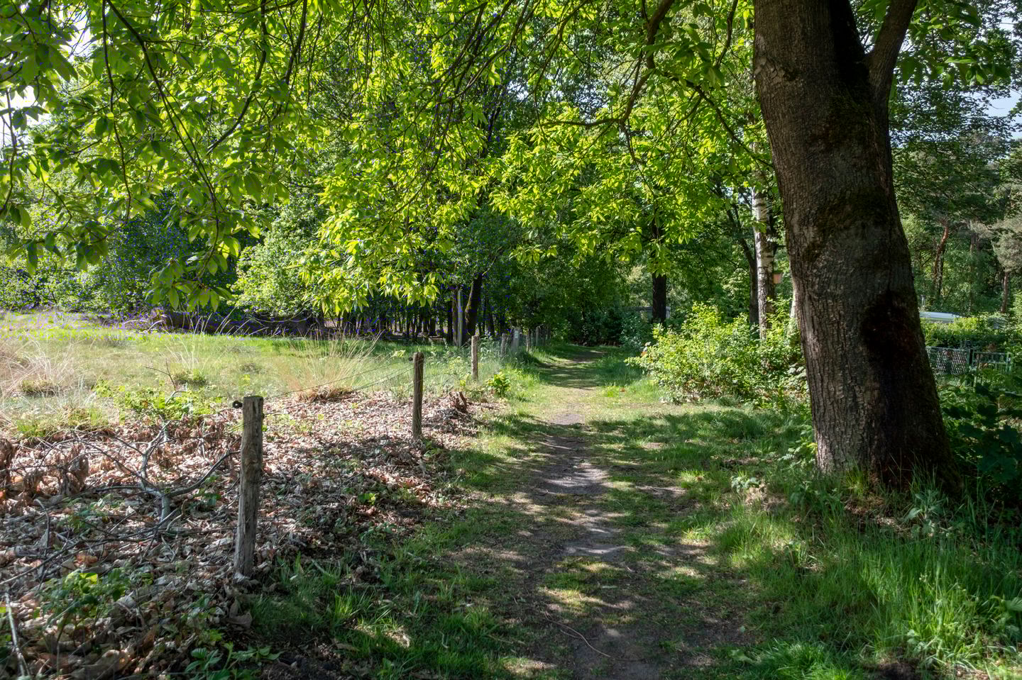 Foto 50 van Wijsterseweg 18-18