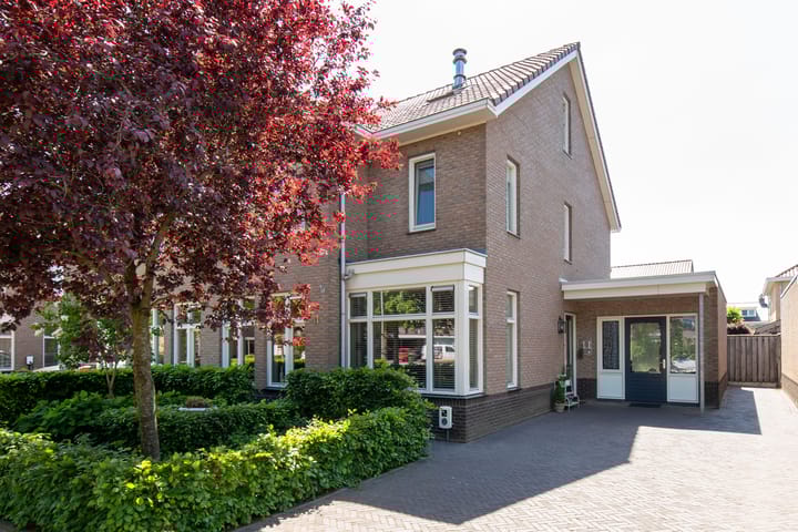 Foto 2 van Boterbloem 11