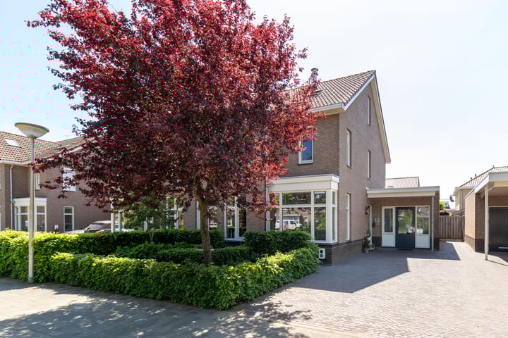 Foto 4 van Boterbloem 11