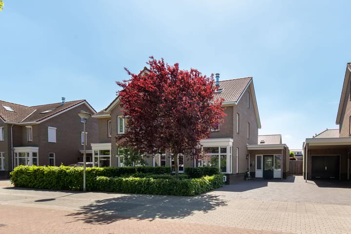 Foto 1 van Boterbloem 11