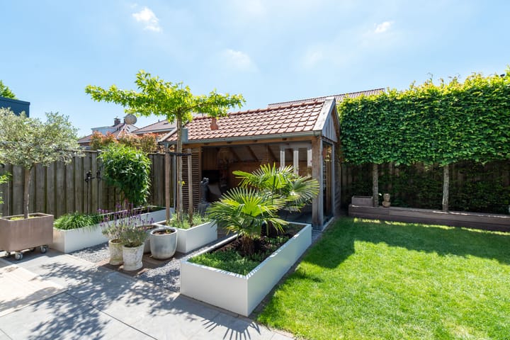 Foto 7 van Boterbloem 11