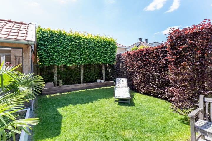 Foto 8 van Boterbloem 11