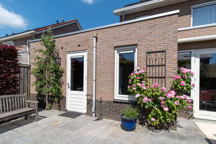 Foto 13 van Boterbloem 11