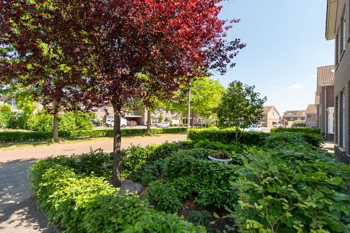 Foto 65 van Boterbloem 11