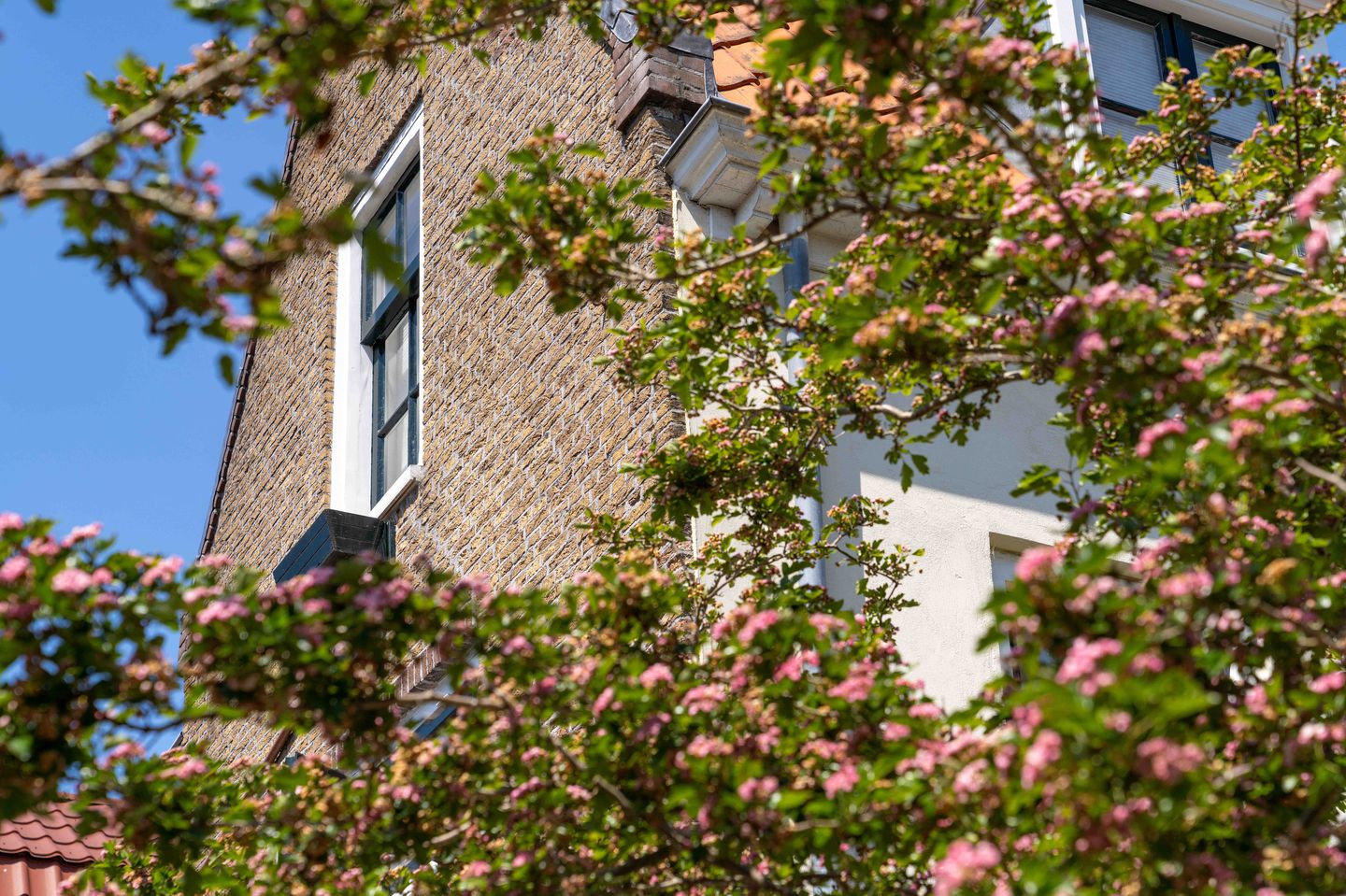 Foto 35 van Lange Dwarsstraat 31