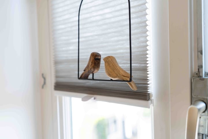 Foto 42 van Lange Dwarsstraat 31