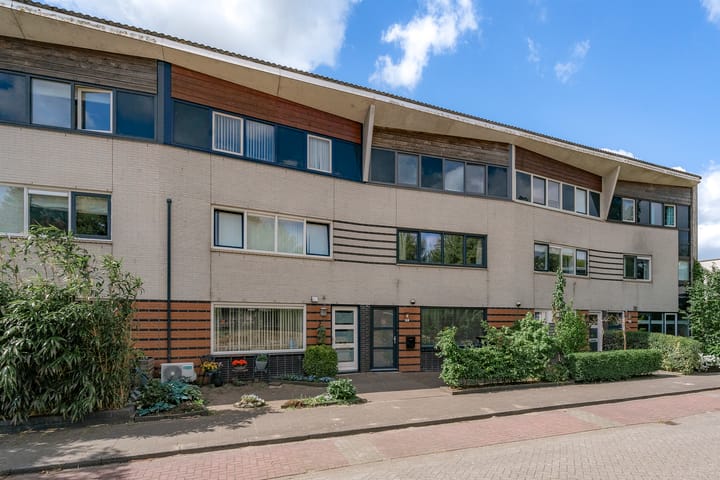 Photo 2 of Tureluur 23