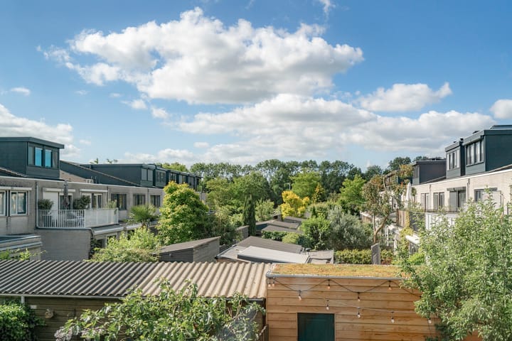 Foto 24 van Tureluur 23