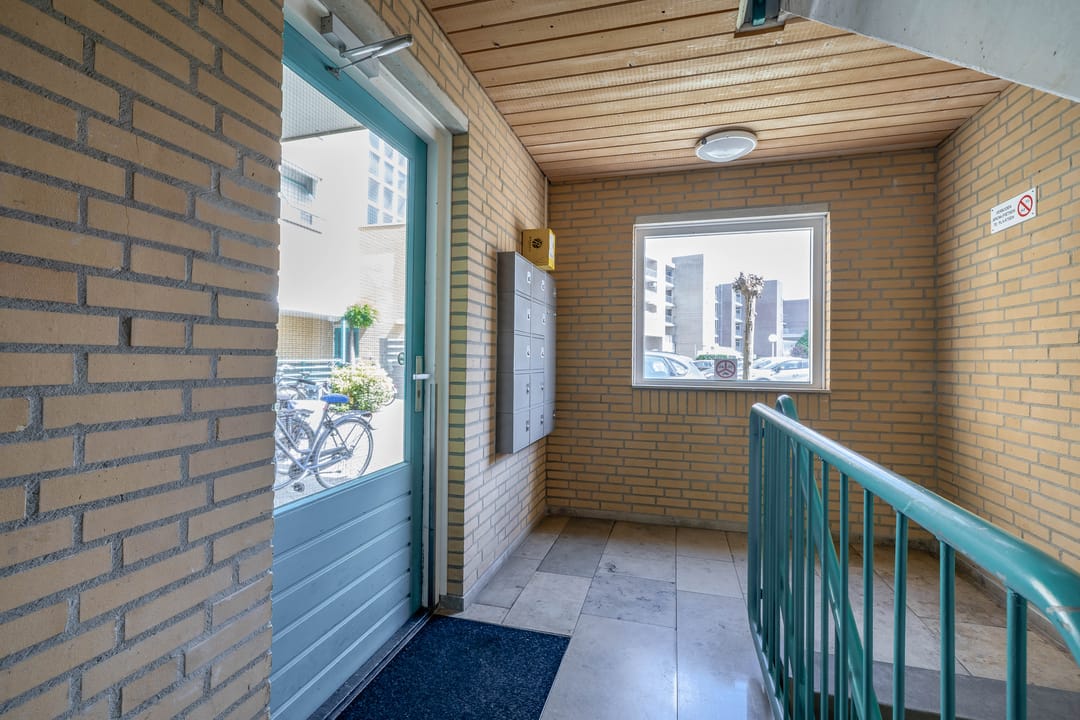 Foto 8 van De Rungraaf 58