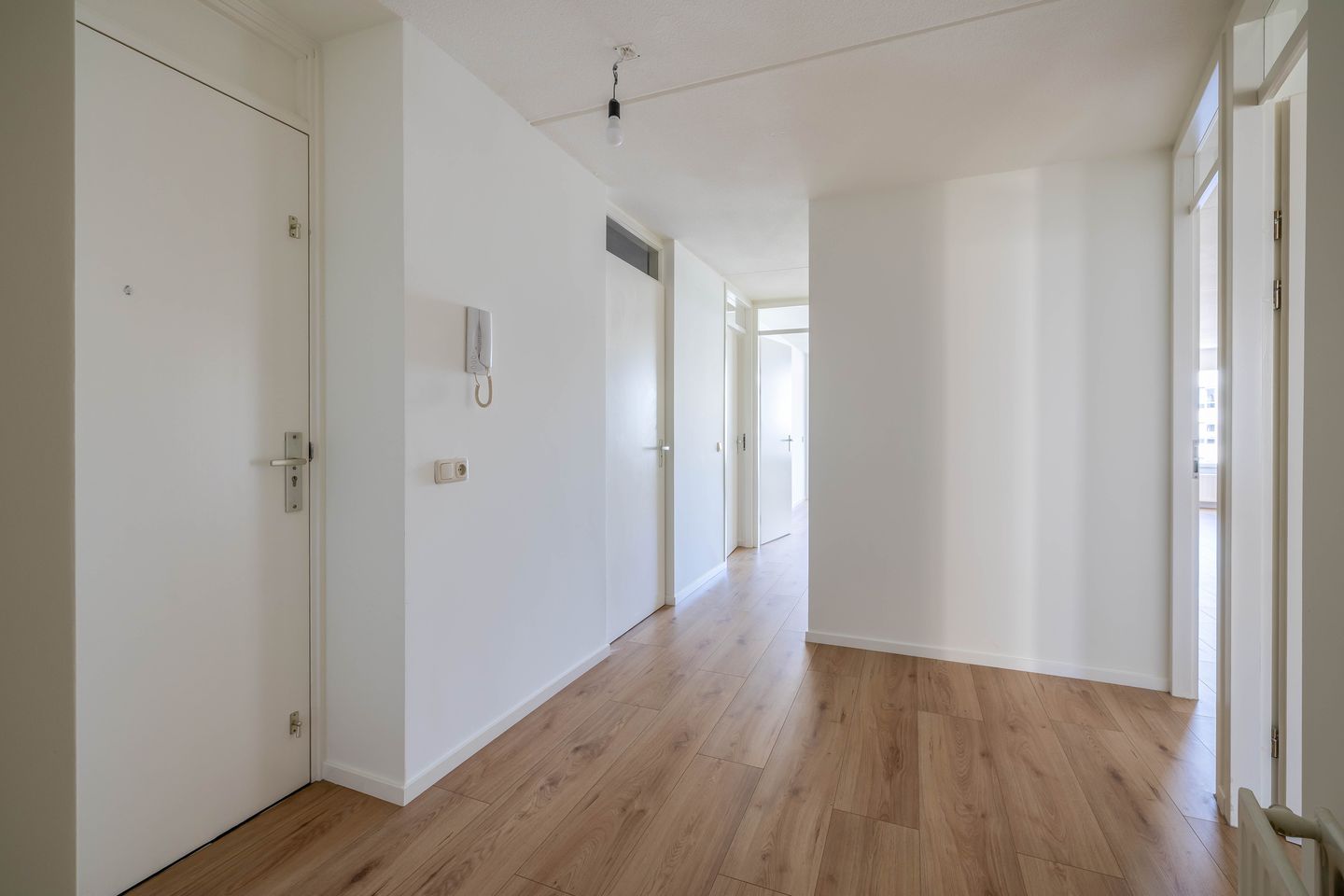 Foto 10 van De Rungraaf 58