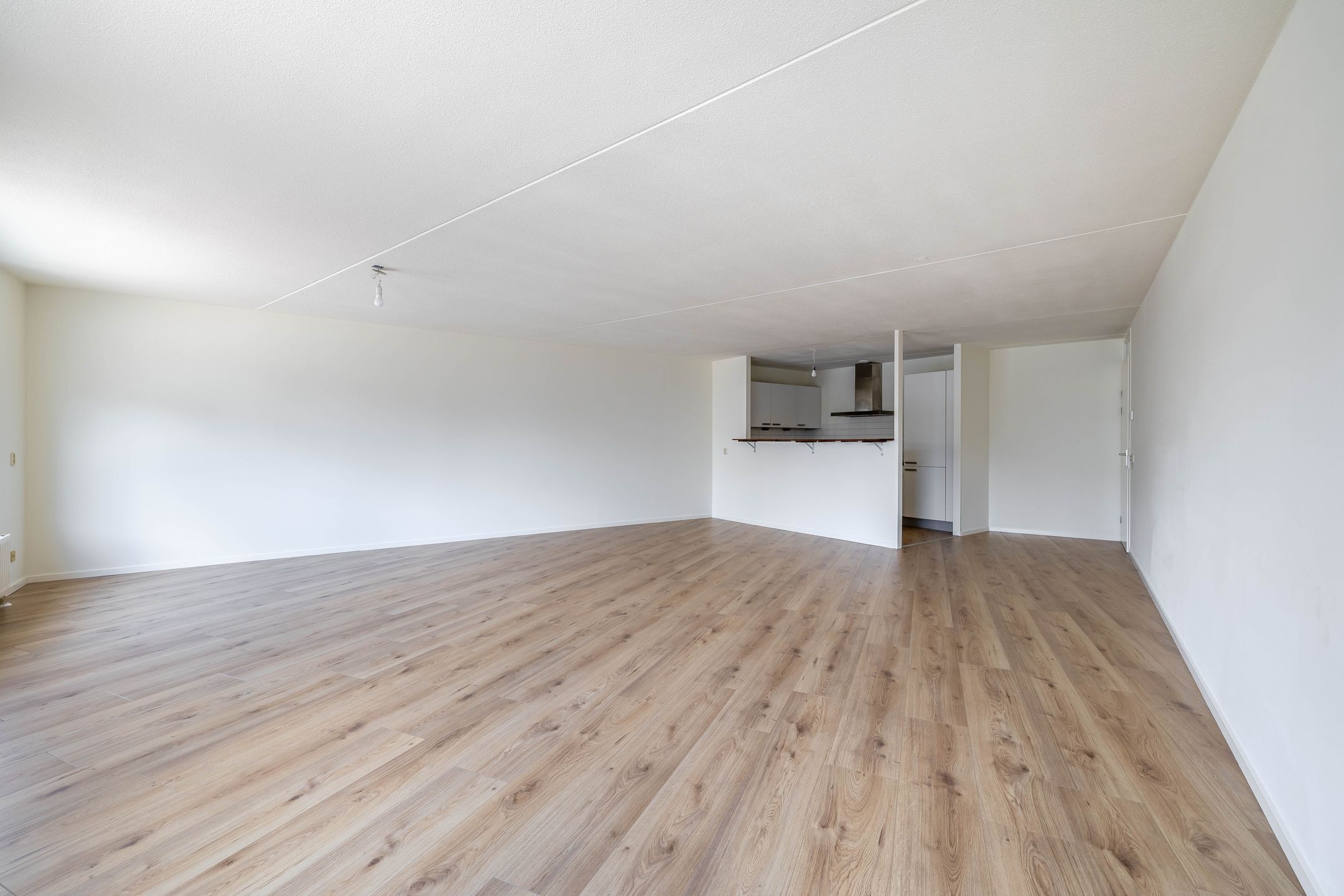 Foto 15 van De Rungraaf 58