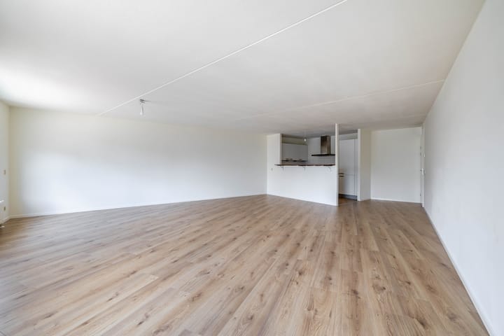 Foto 15 van De Rungraaf 58