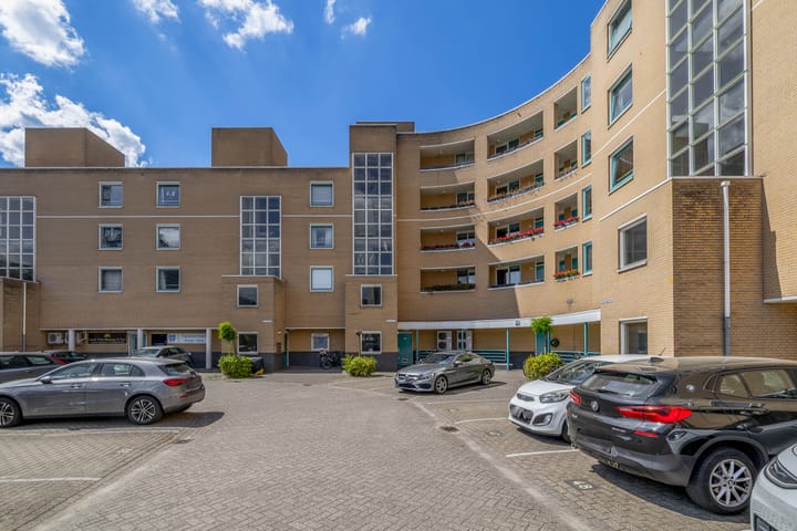 Foto 38 van De Rungraaf 58