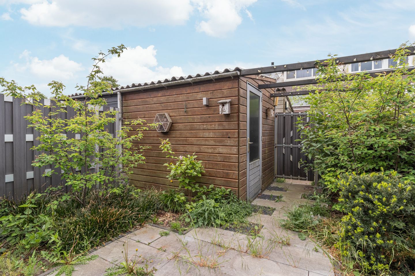 Foto 10 van Albers Weer 9