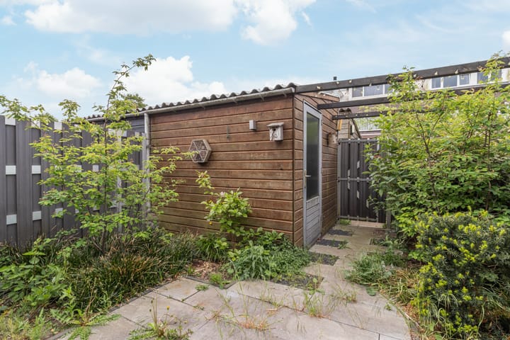 Foto 10 van Albers Weer 9