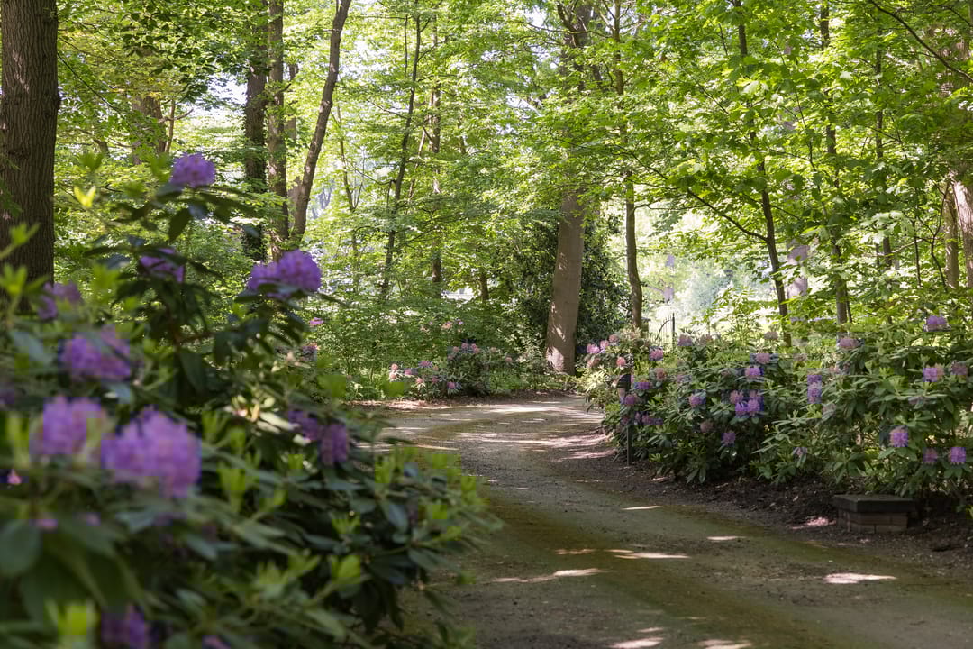 Foto 8 van Geukerdijk 98