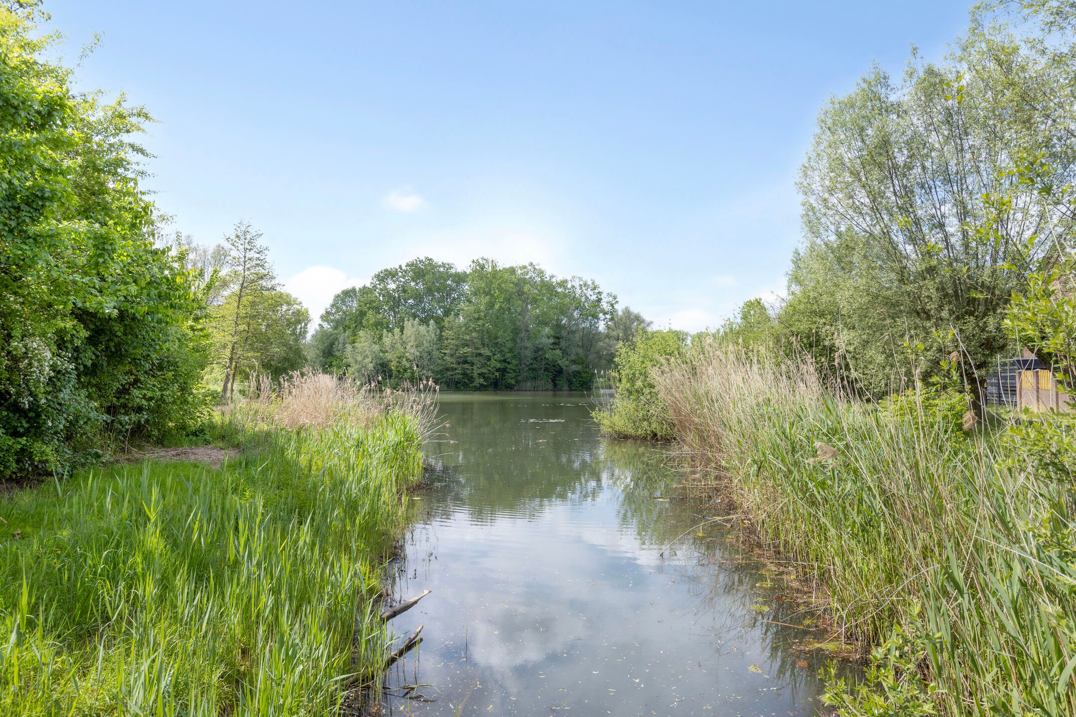 Foto 36 van Boekweitdreef 11