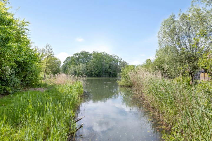 Foto 36 van Boekweitdreef 11