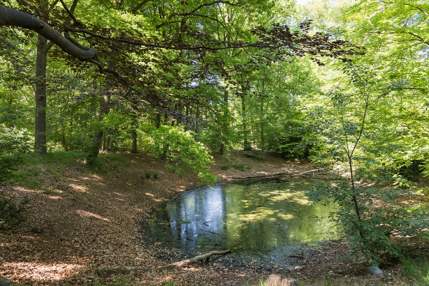 Foto 65 van Geukerdijk 98