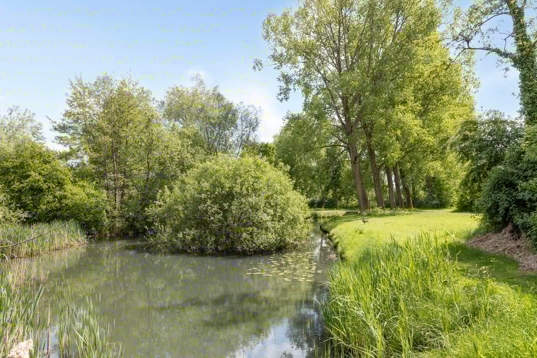 Foto 37 van Boekweitdreef 11