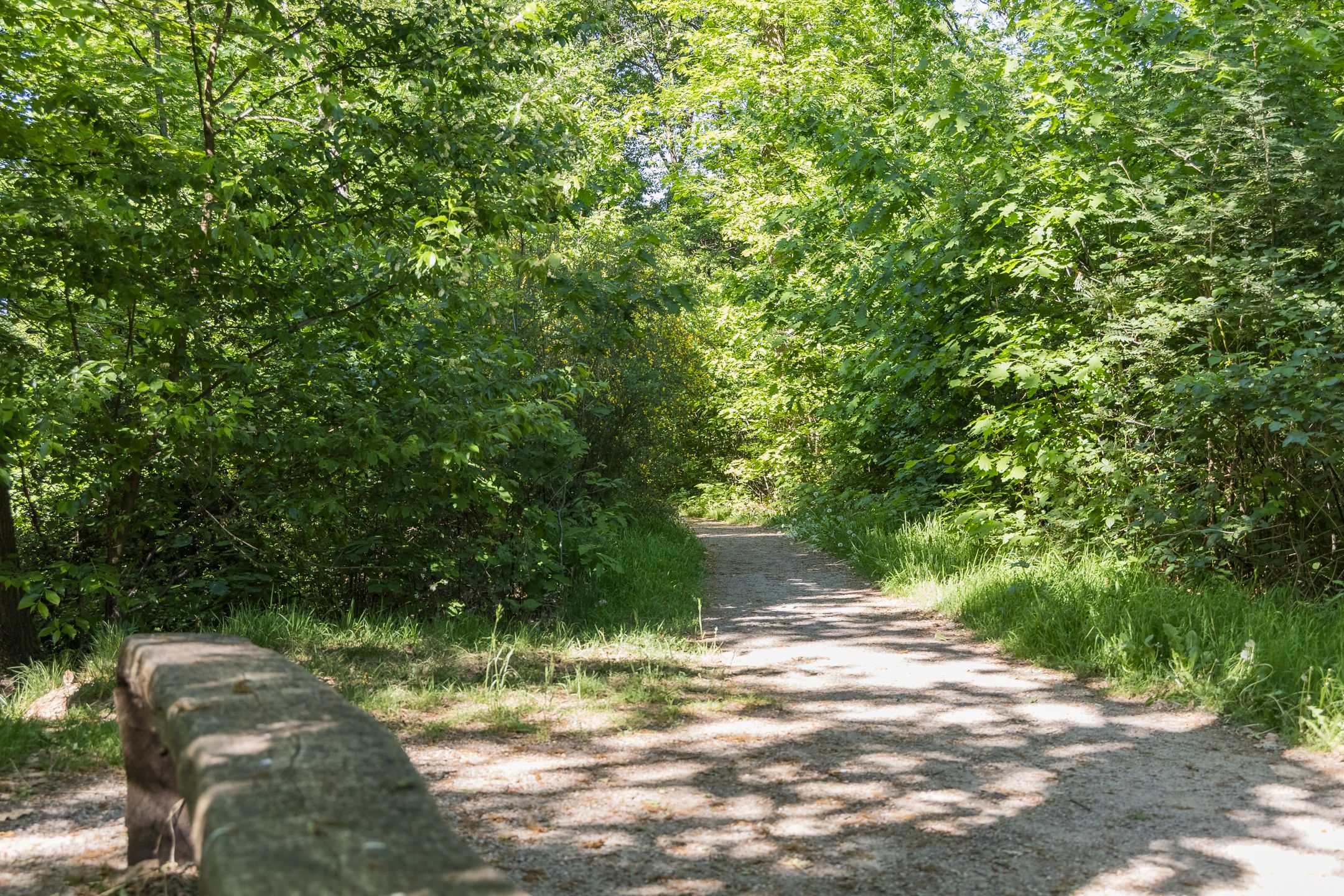 Foto 66 van Geukerdijk 98