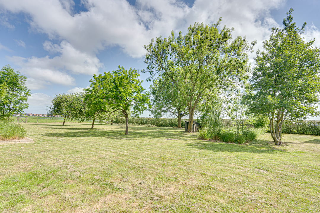 Photo 37 of Lewedijk 43