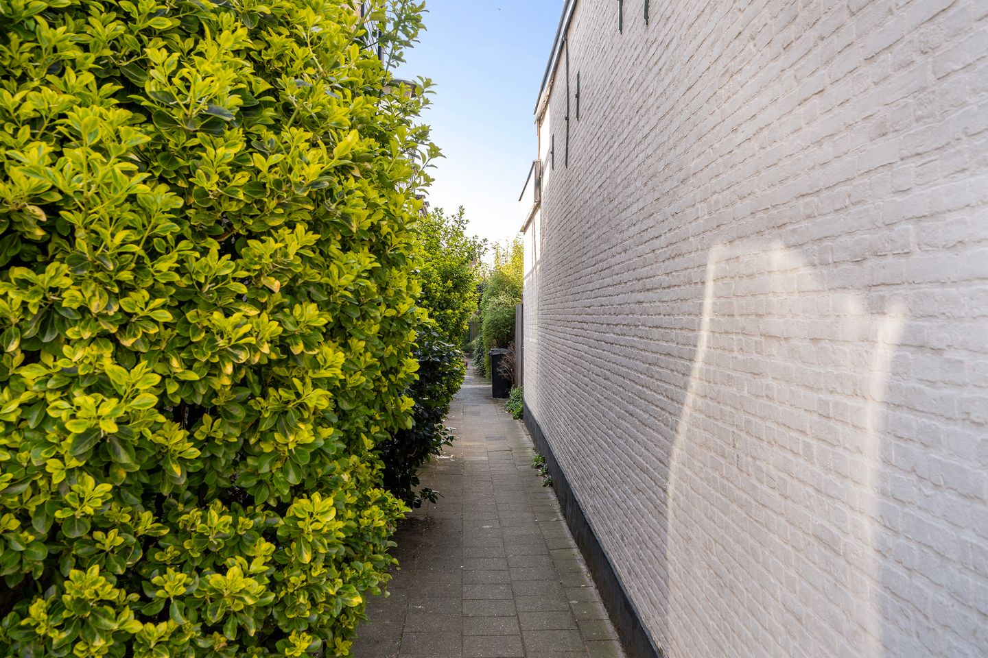 Foto 5 van Callenburgstraat 26