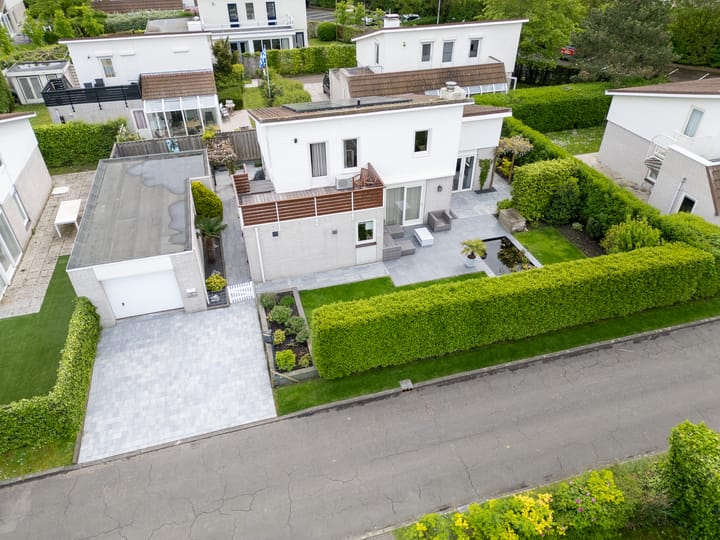 Photo 2 of Cardium 25