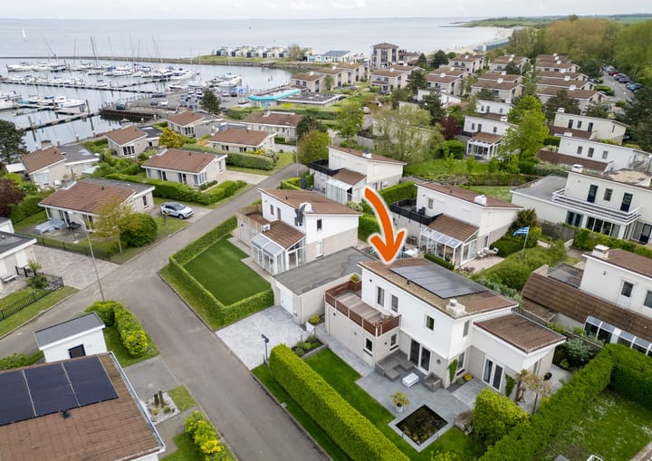 Photo 3 of Cardium 25