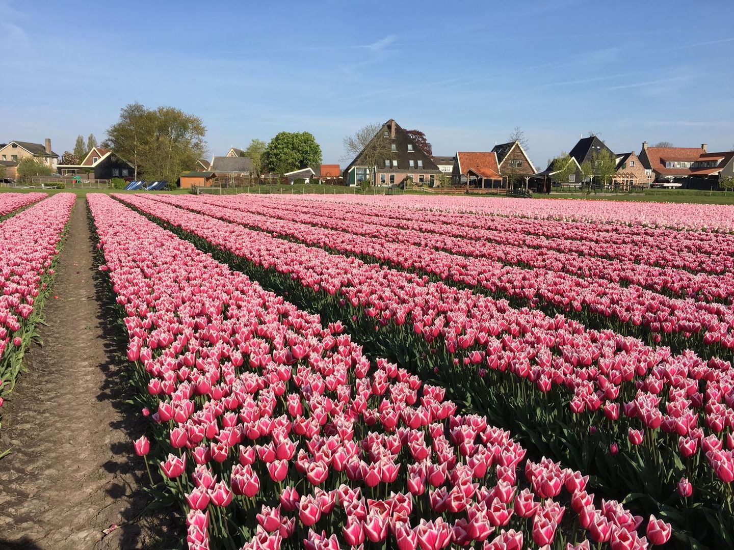 Foto 64 van Dorpsweg 67-B