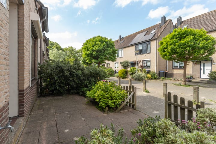 Foto 8 van Aletta Jacobs-erf 194