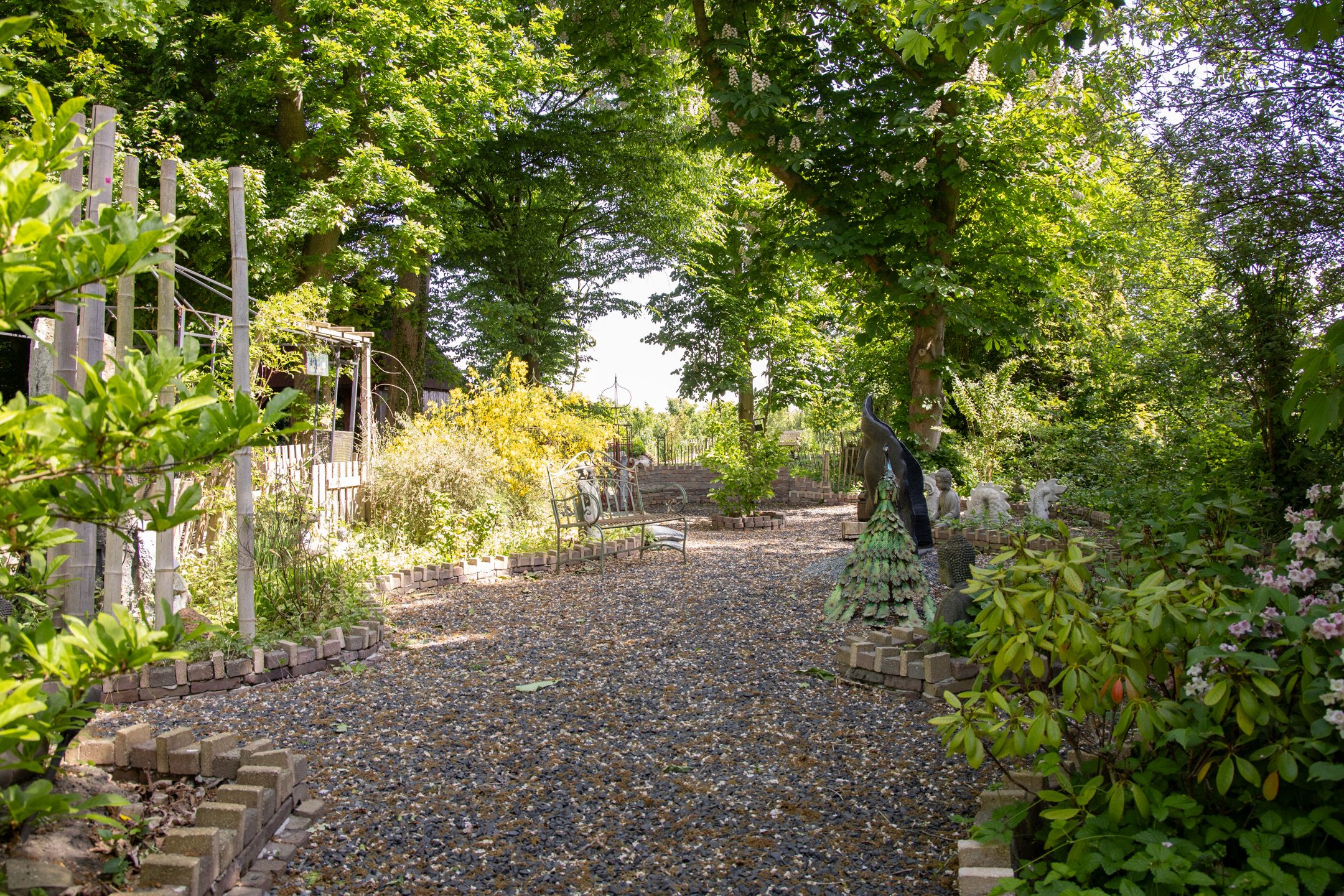 Foto 39 van Hoornseweg 31