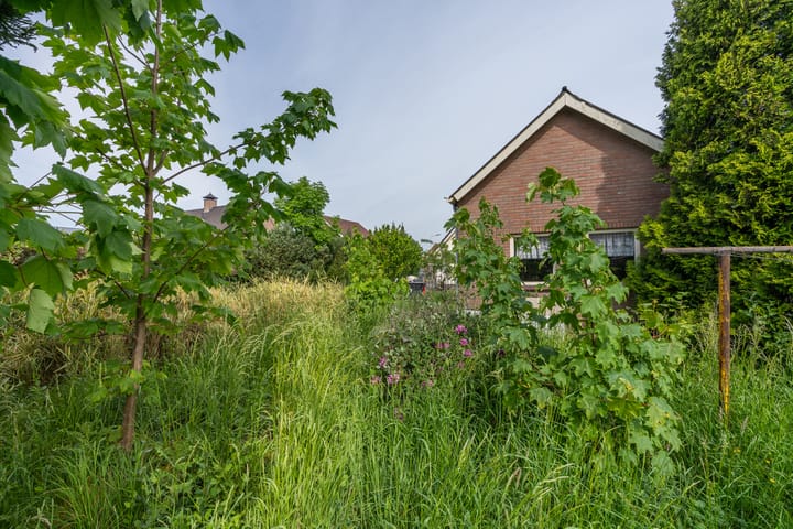 Foto 31 van Hondstraat 12