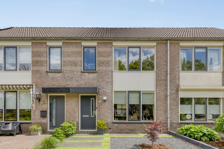 Foto 1 van Perzikkruid 28